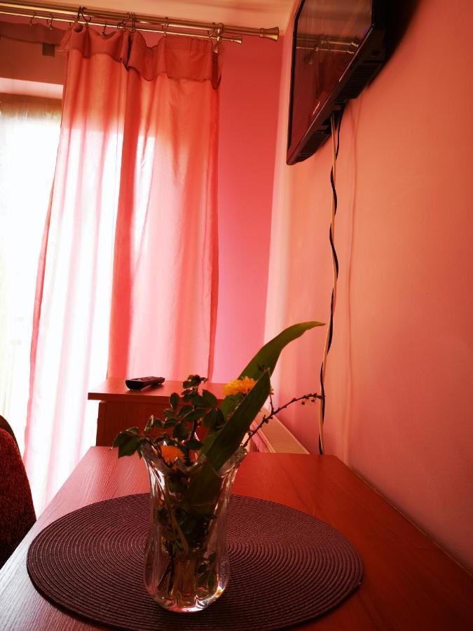 Łomża Agroturystyka W Dolinie Narwi מראה חיצוני תמונה