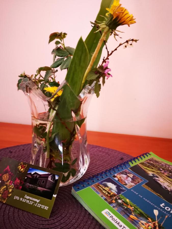 Łomża Agroturystyka W Dolinie Narwi מראה חיצוני תמונה
